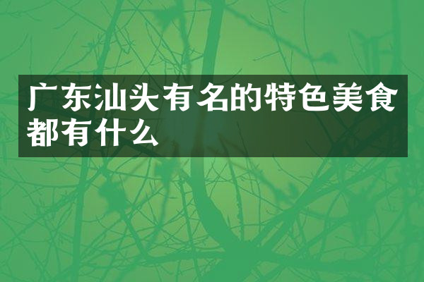 广东汕头有名的特色美食都有什么