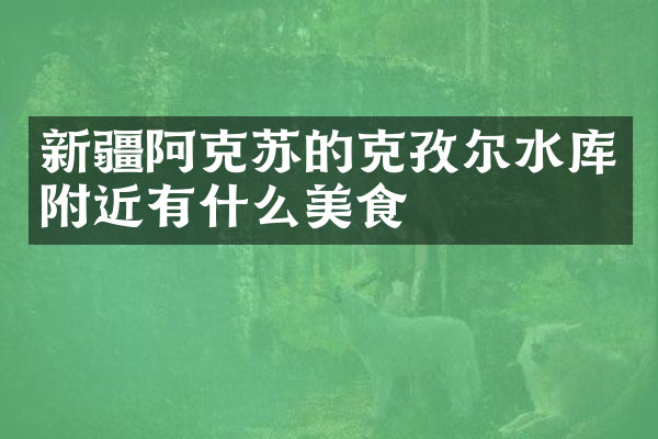 新疆阿克苏的克孜尔水库附近有什么美食