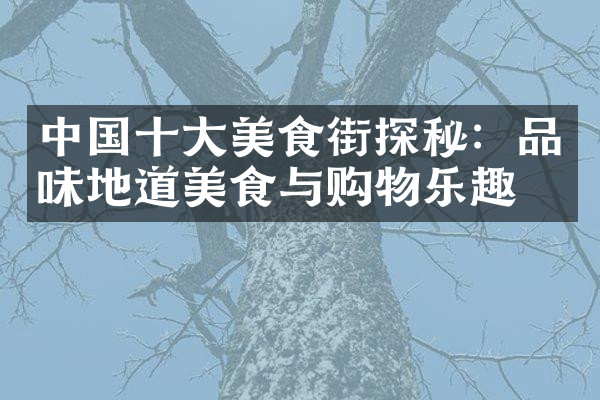 中国十大美食街探秘：品味地道美食与购物乐趣