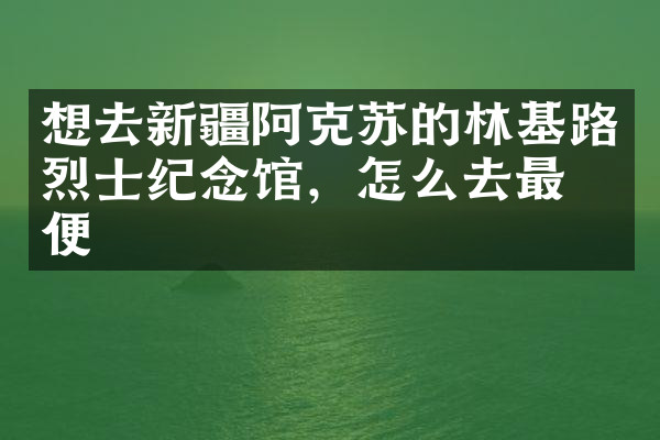 想去新疆阿克苏的林基路烈士纪念馆，怎么去最方便