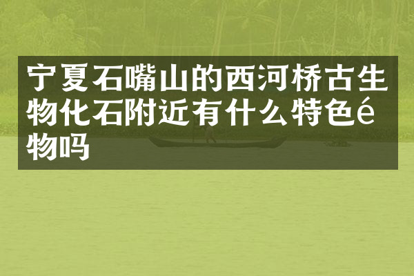 宁夏石嘴山的西河桥古生物化石附近有什么特色食物吗