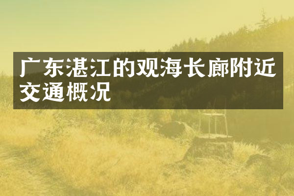 广东湛江的观海长廊附近交通概况
