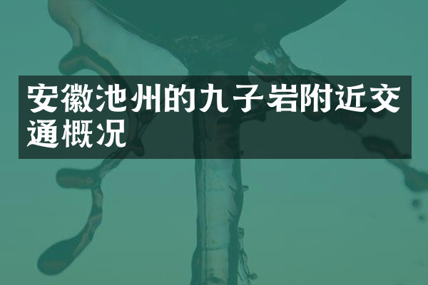 安徽池州的九子岩附近交通概况