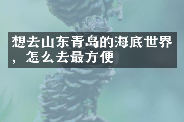 想去山东青岛的海底世界，怎么去最方便