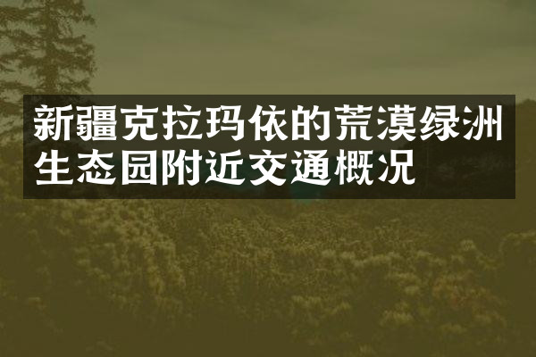新疆克拉玛依的荒漠绿洲生态园附近交通概况