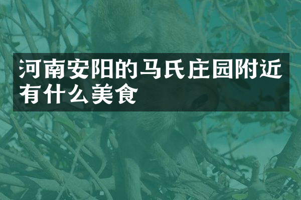 河南安阳的马氏庄园附近有什么美食
