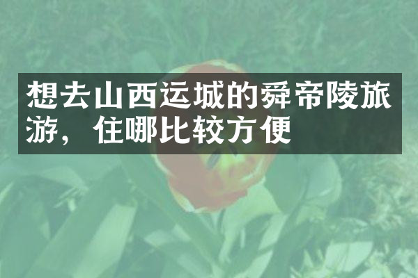 想去山西运城的舜帝陵旅游，住哪比较方便