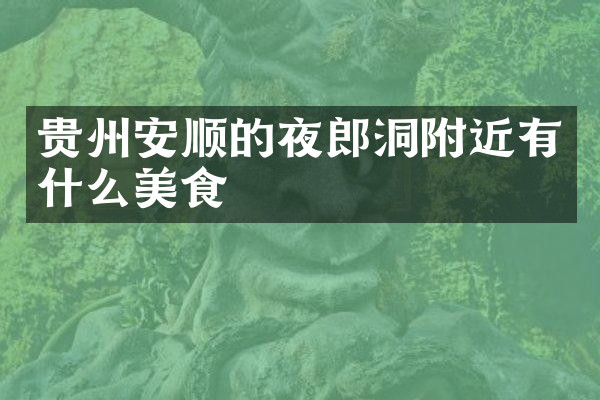 贵州安顺的夜郎洞附近有什么美食