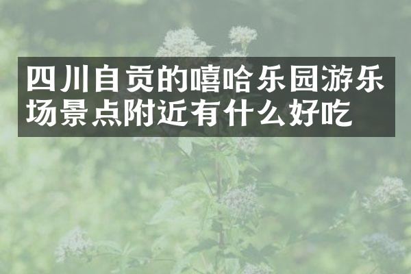 四川自贡的嘻哈乐园游乐场景点附近有什么好吃的