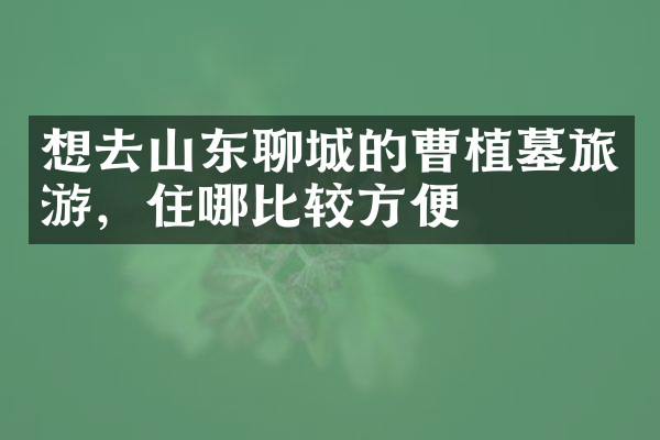 想去山东聊城的曹植墓旅游，住哪比较方便