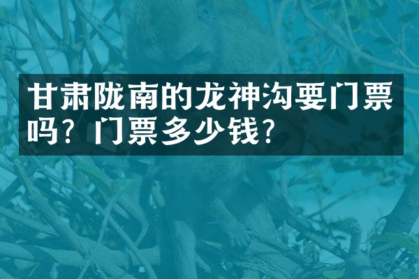 甘肃陇南的龙神沟要门票吗？门票多少钱？