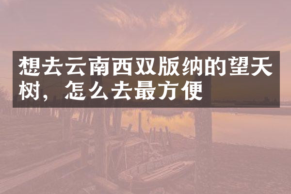 想去云南西双版纳的望天树，怎么去最方便