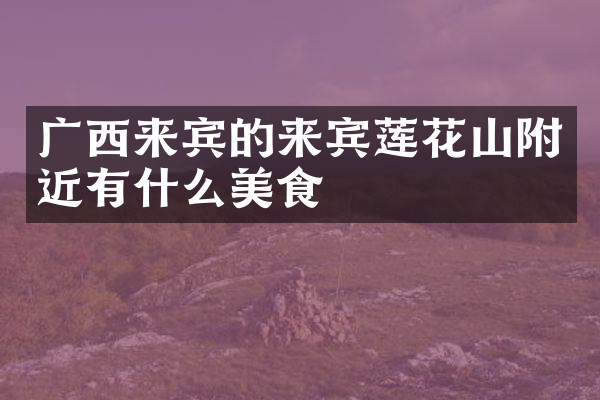 广西来宾的来宾莲花山附近有什么美食