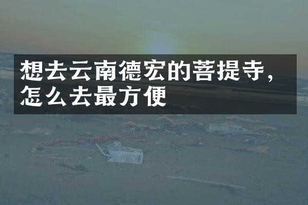 想去云南德宏的菩提寺，怎么去最方便