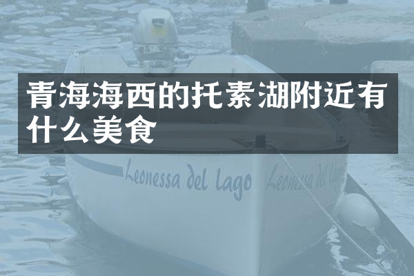 青海海西的托素湖附近有什么美食