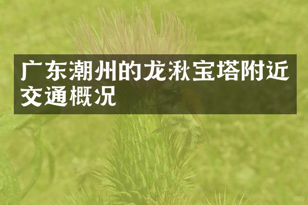 广东潮州的龙湫宝塔附近交通概况
