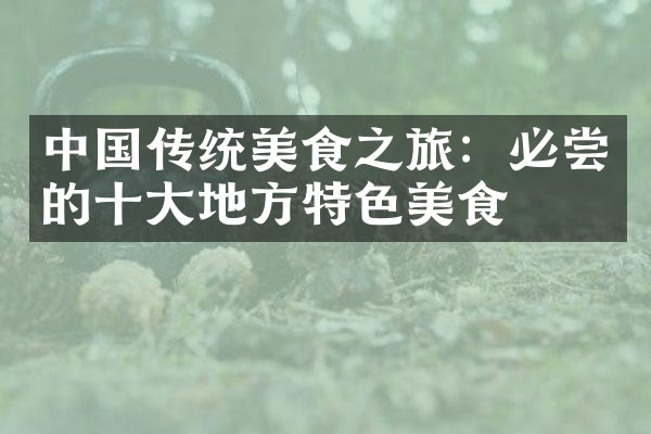 中国传统美食之旅：必尝的十大地方特色美食