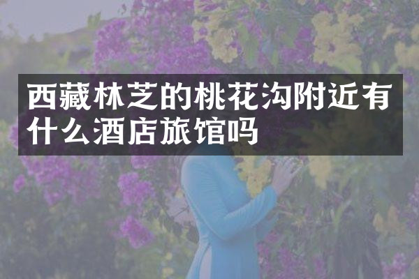 西藏林芝的桃花沟附近有什么酒店旅馆吗