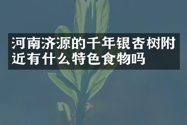 河南济源的千年银杏树附近有什么特色食物吗