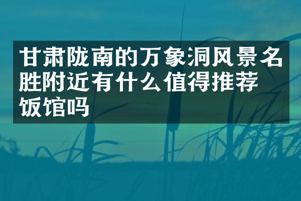 甘肃陇南的万象洞风景名胜附近有什么值得推荐的饭馆吗