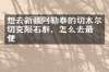想去新疆阿勒泰的切木尔切克陨石群，怎么去最方便