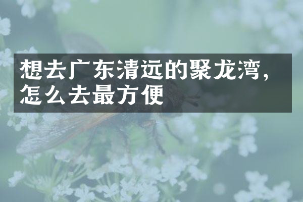 想去广东清远的聚龙湾，怎么去最方便