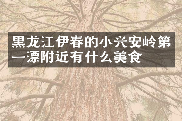 黑龙江伊春的小兴安岭第一漂附近有什么美食