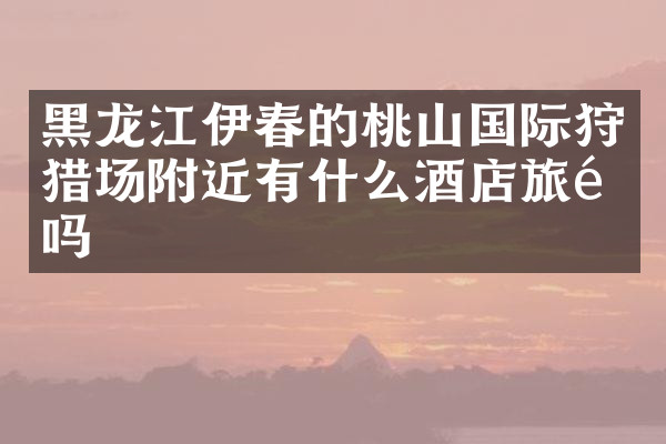 黑龙江伊春的桃山国际狩猎场附近有什么酒店旅馆吗