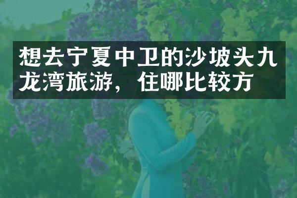 想去宁夏中卫的沙坡头九龙湾旅游，住哪比较方便