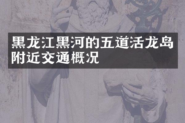 黑龙江黑河的五道活龙岛附近交通概况