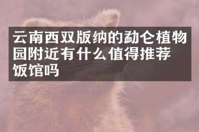云南西双版纳的勐仑植物园附近有什么值得推荐的饭馆吗