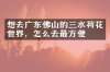 想去广东佛山的三水荷花世界，怎么去最方便