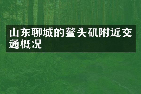 山东聊城的鳌头矶附近交通概况