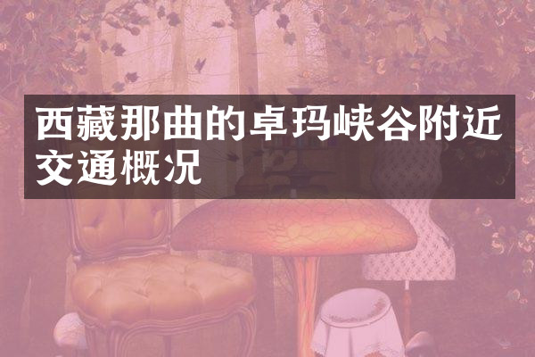 西藏那曲的卓玛峡谷附近交通概况