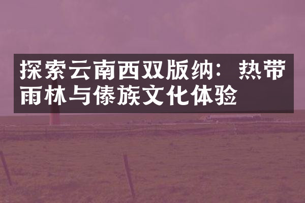 探索云南西双版纳：热带雨林与傣族文化体验