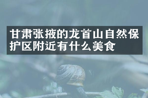 甘肃张掖的龙首山自然保护区附近有什么美食
