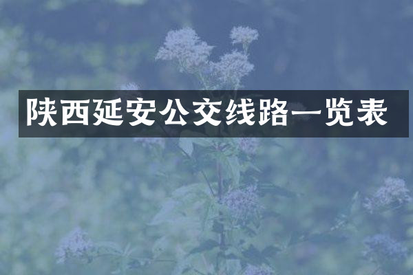 陕西延安公交线路一览表
