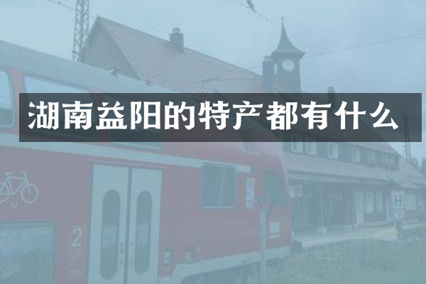 湖南益阳的特产都有什么