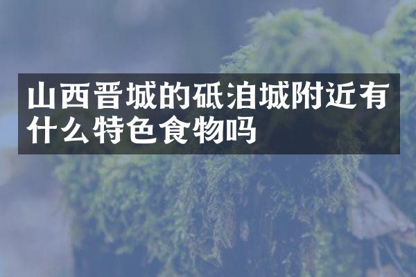山西晋城的砥洎城附近有什么特色食物吗
