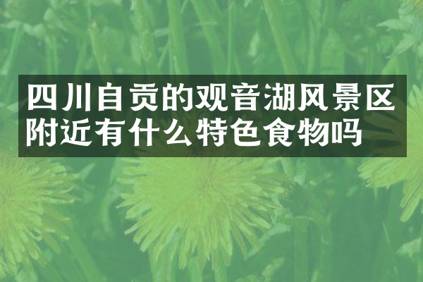 四川自贡的观音湖风景区附近有什么特色食物吗