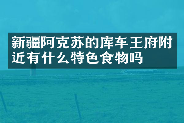 新疆阿克苏的库车王府附近有什么特色食物吗