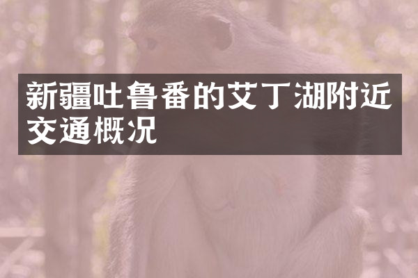 新疆吐鲁番的艾丁湖附近交通概况