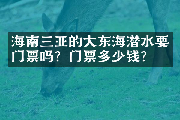 海南三亚的大东海潜水要门票吗？门票多少钱？