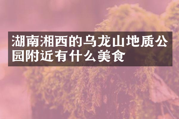 湖南湘西的乌龙山地质公园附近有什么美食