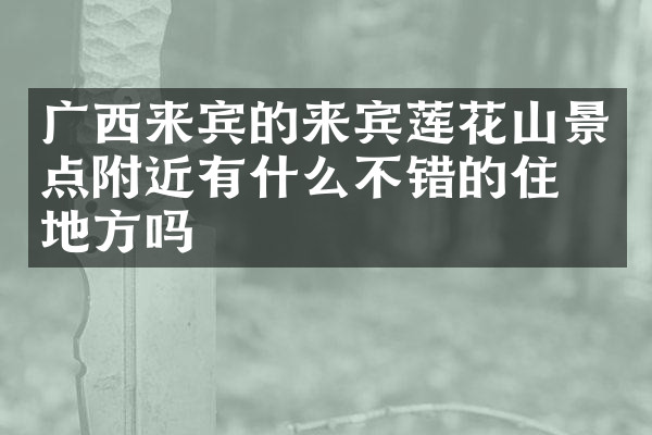 广西来宾的来宾莲花山景点附近有什么不错的住的地方吗