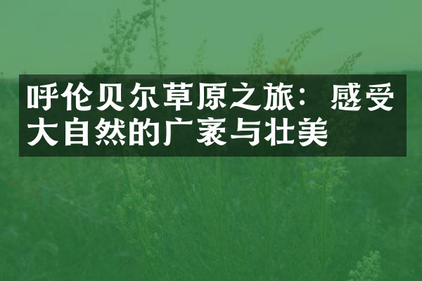 呼伦贝尔草原之旅：感受大自然的广袤与壮美