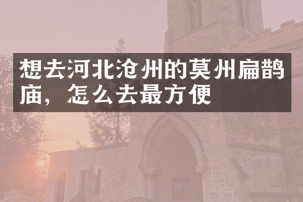 想去河北沧州的莫州扁鹊庙，怎么去最方便