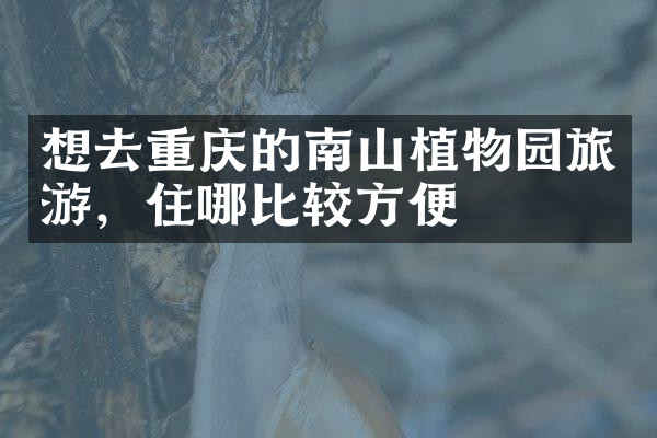想去重庆的南山植物园旅游，住哪比较方便