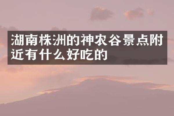 湖南株洲的神农谷景点附近有什么好吃的