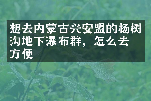 想去内蒙古兴安盟的杨树沟地下瀑布群，怎么去最方便